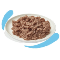 aspecto delicioso paté para gatitos Paté Bacalao pollo kitten sin cereales Edgard Cooper