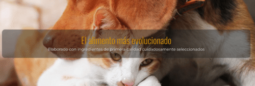 dr darwin alimento evolucionado