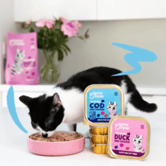 les encantará el delicioso paté para gatitos Paté Pato pollo kitten sin cereales Edgard Cooper