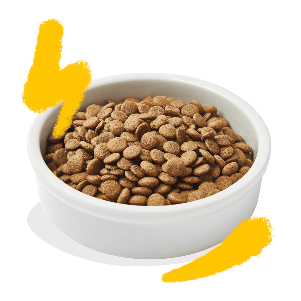 ScoobysFarma