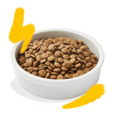 Aspecto pienso para gatos adultos sin cereales Edgard Cooper gatos PAVO Pollo sin cereales pienso gatos adultos y esterilizados