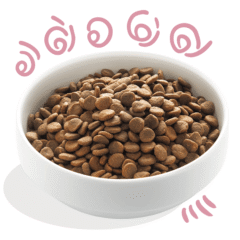 aspecto pienso para cachorros Edgard Cooper PATO POLLO puppy sin cereales pienso cachorros