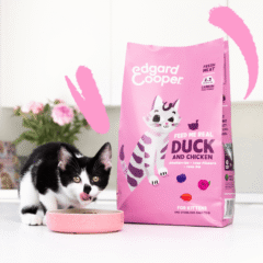 aspecto pienso para gatitos Edgard Cooper Pato y Pollo kitten