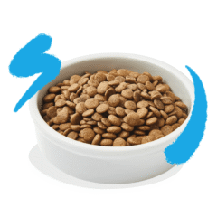 aspecto pienso para gatos adultos sin cereales Edgard Cooper gato SALMÓN sin cereales pienso gatos adultos y esterilizados