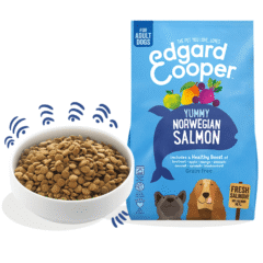 aspecto pienso para perros adultos sin cereales Edgard Cooper perros Salmón sin cereales