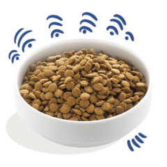 aspecto pienso para perros adultos sin cereales Edgard Cooper perros Salmón sin cereales perros adultos