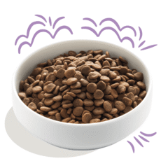aspecto pienso puppy Edgard cooper salmón pavo sin cereales