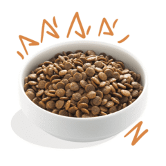 aspecto pienso sin cereales perros adultos Edgard Cooper perros Pollo sin cereales perros adultos