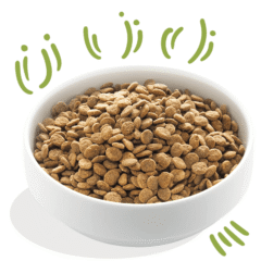 aspecto pienso sin cereales perros adultos Edgard Cooper perros cordero sin cereales perros adultos