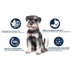 características pienso para perros pequeños con problemas gastrointestinales advance gastroenteric mini canine