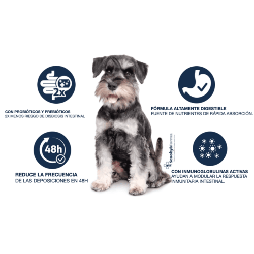 características pienso para perros pequeños con problemas gastrointestinales advance gastroenteric mini canine
