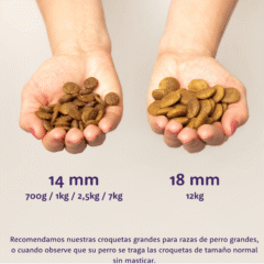tamaño de la croqueta pienso puppy Edgard cooper salmón pavo sin cereales