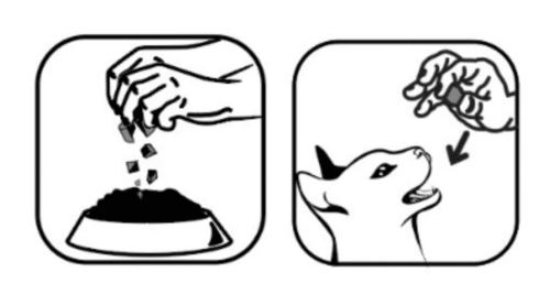 modo de uso Lysine plus gatos gatitos