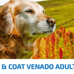 perros con pieles sensibles farmina nd quinoa dog mini skin coat VENADO perros adultos mini