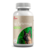 refuerzo sistema inmune, en leishmania y procesos oncolócigos Artennua XL Artemisia Annua perros 30 comprimidos