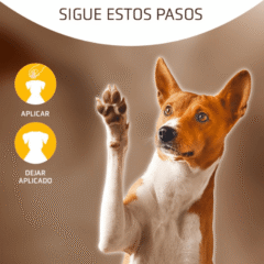 modo de uso polvo hemostático X-TOP Artero 15 g