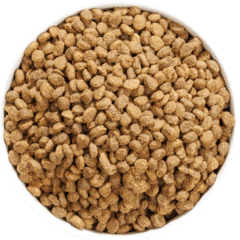 aspecto Ownat Author Fresh Oily fish y Poultry cat pienso para gatos adultos