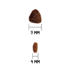 tamaño de croqueta pienso natural para gatitos Ownat Classic Kitten gatitos 4 kg