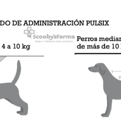 Modo de administración pulsix perros pipetas spot on