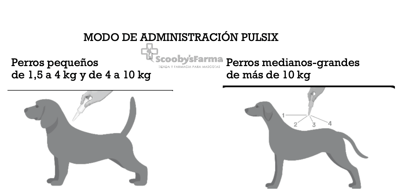 Modo de administración pulsix perros pipetas spot on