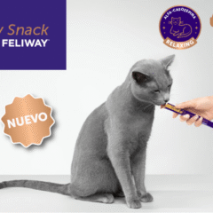 relajante Happy snack de feliway para gatos