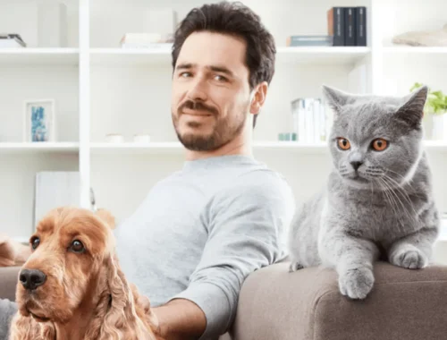 advance para perros y gatos