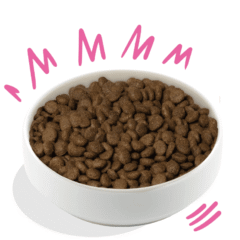 aspecto Edgard Cooper Remolacha Calabaza crujientes pienso vegano para perros
