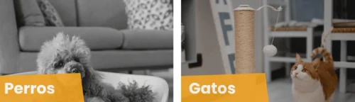 Ferplast accesorios para mascotas