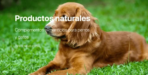 productos naturales de Heel Vet