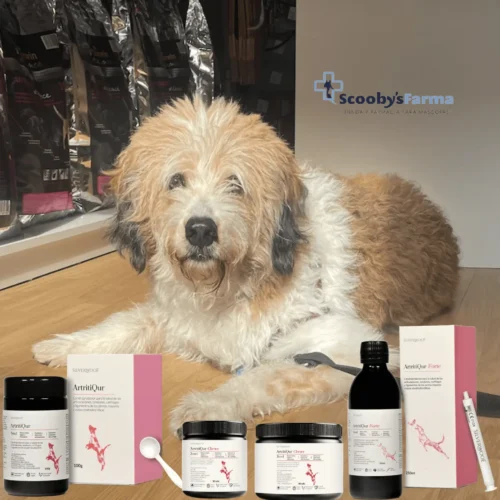 Condroprotector en chews polvo o jarabe artritiqur para perros