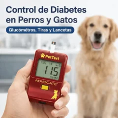 Control de diabetes en gatos
