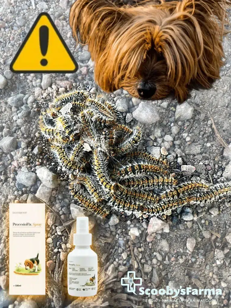 ScoobysFarma