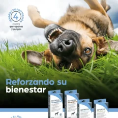 pipetas refordog spot on para perros