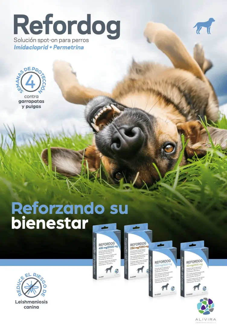pipetas refordog spot on para perros
