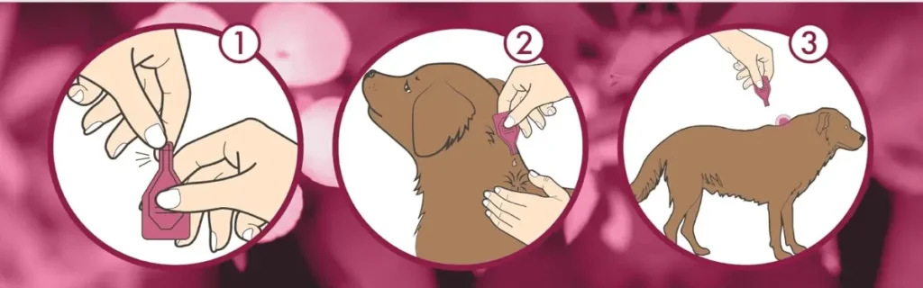 ScoobysFarma