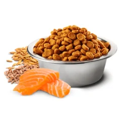 aspecto ND Tropical salmón perros medium maxi pienso para perros