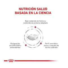 caractarísticas pienso de dieta veterinaria para perros con daño renal Royal canin renal para perros