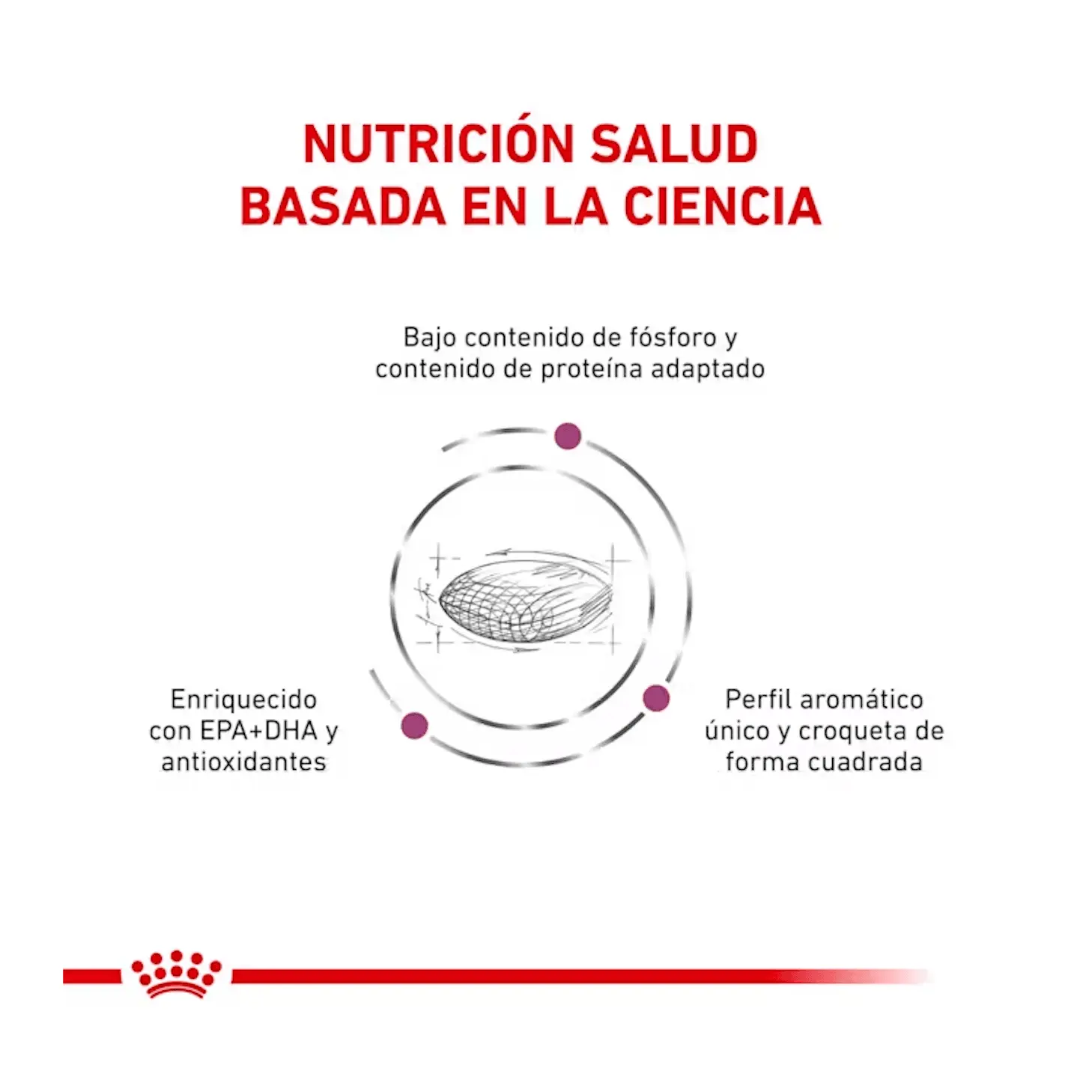 caractarísticas pienso de dieta veterinaria para perros con daño renal Royal canin renal para perros