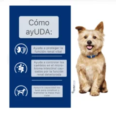 características pienso renal para perros Hill´s Kidney Care k:d