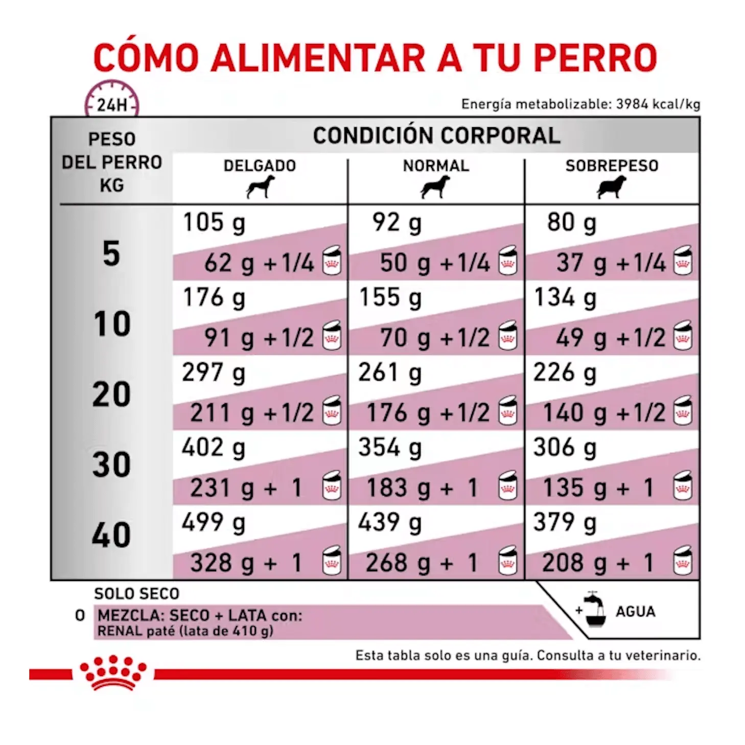 dosis diaria recomendada pienso de dieta veterinaria para perros con daño renal Royal canin renal para perros