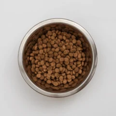 aspecto KJ1 Early Kidney and Joint Gatos pienso movilidad articular