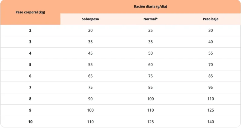 dosis diaria recomendada de pienso para gatos KJ1 Early Kidney and Joint Gatos pienso movilidad articular