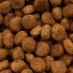 textura croqueta KJ1 Early Kidney and Joint Gatos pienso movilidad articular
