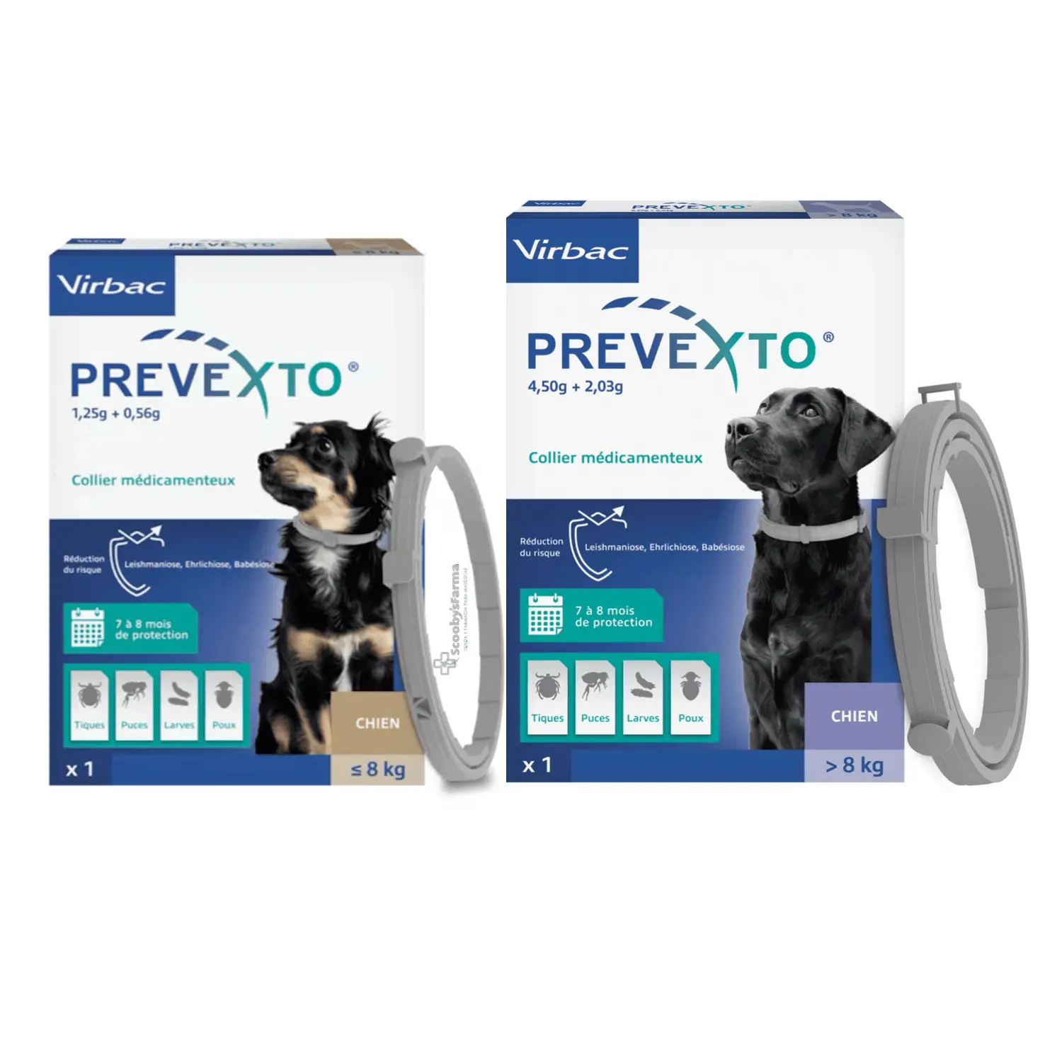 collar antiparasitario para perros y gatos prevexto