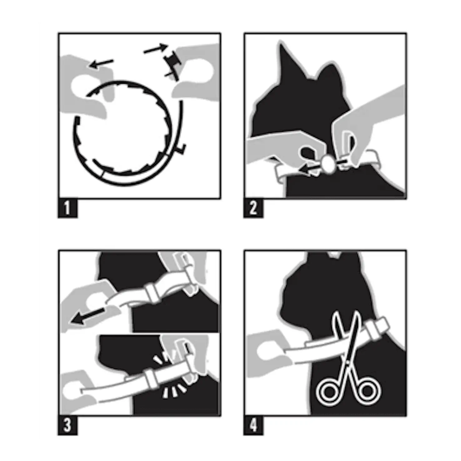 como colocar collar antiparasitario para gatos prevexto gatos