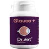 glaucoma en perros y gatos Dr Vet Glauco + 30 comprimidos