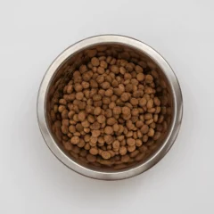 aspecto pienso servido G1 digestive support virbac pienso gatos
