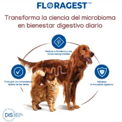 Características Floragest soft chews